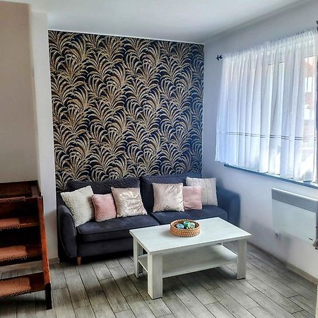 U Przyjaciol Villa Zarnowska Dış mekan fotoğraf